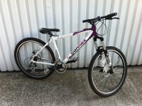 Connex M600 disc